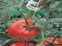 TOMATO PLANT SUPPORT